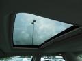 Linen Gold Metallic - 300 C HEMI Photo No. 21
