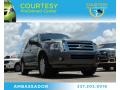 2012 Sterling Gray Metallic Ford Expedition XLT  photo #1