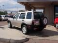 2002 White Gold Land Rover Freelander HSE  photo #10