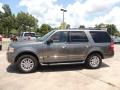 Sterling Gray Metallic - Expedition XLT Photo No. 5