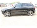 2009 Brilliant Black Audi Q5 3.2 Premium quattro  photo #40