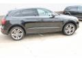 2009 Brilliant Black Audi Q5 3.2 Premium quattro  photo #45
