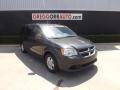 Dark Charcoal Pearl - Grand Caravan SXT Photo No. 1