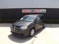 Dark Charcoal Pearl - Grand Caravan SXT Photo No. 2