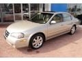Sunlit Sand Metallic - Maxima GLE Photo No. 10