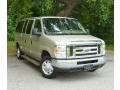 2008 Pueblo Gold Ford E Series Van E350 Super Duty XLT Passenger #83316824