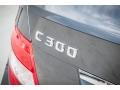 Steel Grey Metallic - C 300 Luxury Photo No. 7