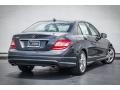 Steel Grey Metallic - C 300 Luxury Photo No. 14