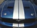 2009 Vista Blue Metallic Ford Mustang GT Coupe  photo #20