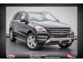 Black - ML 350 4Matic Photo No. 1