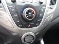 Triathlon Gray - Veloster  Photo No. 26