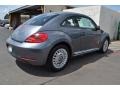 Platinum Gray Metallic - Beetle 2.5L Photo No. 2