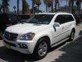 Arctic White - GL 450 4Matic Photo No. 5