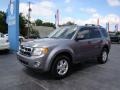 Tungsten Grey Metallic - Escape XLT Photo No. 4