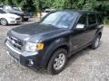 Black Pearl Slate Metallic - Escape Limited 4WD Photo No. 4