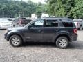 Black Pearl Slate Metallic - Escape Limited 4WD Photo No. 5