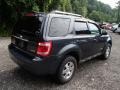 Black Pearl Slate Metallic - Escape Limited 4WD Photo No. 8