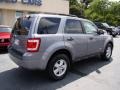 Tungsten Grey Metallic - Escape XLT Photo No. 8