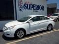 Shimmering White - Sonata GLS Photo No. 6