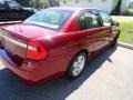 2006 Sport Red Metallic Chevrolet Malibu LT Sedan  photo #1