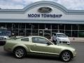 2005 Legend Lime Metallic Ford Mustang V6 Deluxe Coupe #83316588