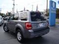 Tungsten Grey Metallic - Escape XLT Photo No. 28