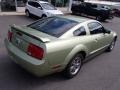 2005 Legend Lime Metallic Ford Mustang V6 Deluxe Coupe  photo #8