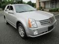 Light Platinum - SRX V6 Photo No. 11