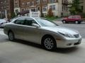 Millennium Silver Metallic - ES 300 Photo No. 3