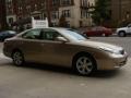 Sonora Gold Pearl - ES 330 Photo No. 3