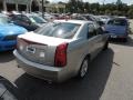 Light Platinum - CTS Sedan Photo No. 13