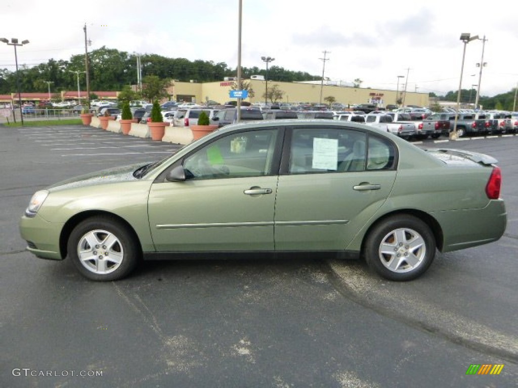 Silver Green Metallic 2005 Chevrolet Malibu LS V6 Sedan Exterior Photo #83348750