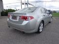 Palladium Metallic - TSX Sedan Photo No. 6