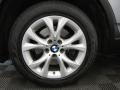 2010 Space Gray Metallic BMW X3 xDrive30i  photo #25