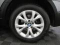 2010 Space Gray Metallic BMW X3 xDrive30i  photo #28