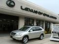 2007 Millennium Silver Metallic Lexus RX 350 AWD  photo #1