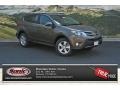 Pyrite Mica - RAV4 XLE AWD Photo No. 1