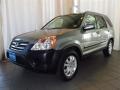 Pewter Pearl - CR-V EX 4WD Photo No. 6