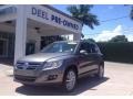 Alpine Grey Metallic - Tiguan Wolfsburg Edition Photo No. 1