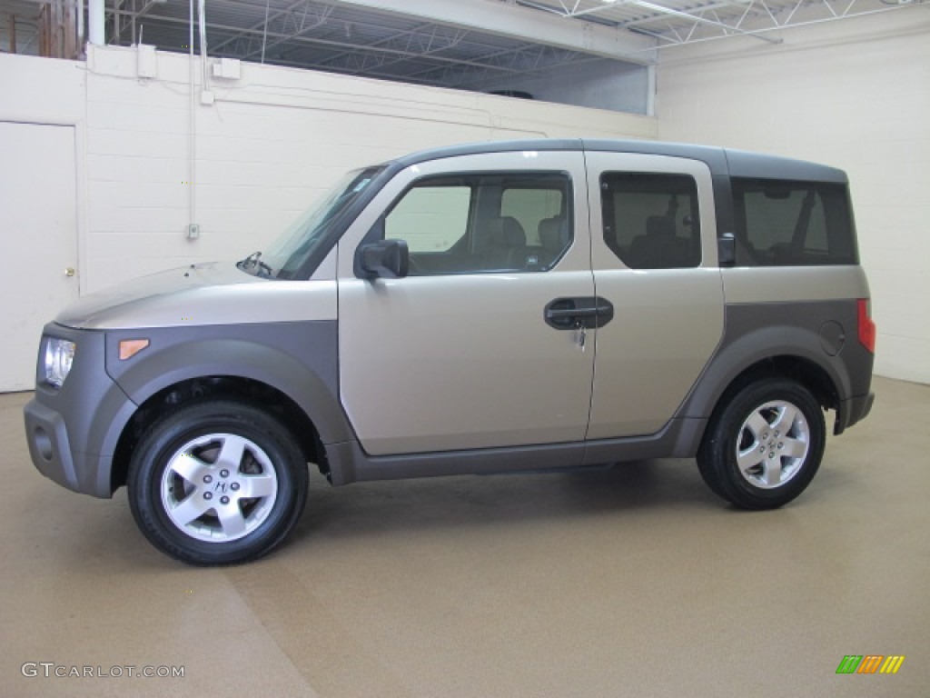 2004 Element EX AWD - Shoreline Mist Metallic / Black photo #5