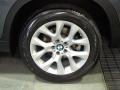 Platinum Gray Metallic - X5 xDrive 35i Photo No. 12