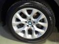 Platinum Gray Metallic - X5 xDrive 35i Photo No. 13