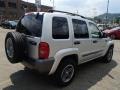 Bright Silver Metallic - Liberty Rocky Mountain Edition 4x4 Photo No. 8