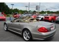 Pewter Silver Metallic - SL 500 Roadster Photo No. 6