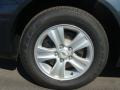 Ashen Gray Metallic - Impala LS Photo No. 14