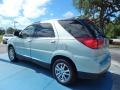 2006 Blue Frost Metallic Buick Rendezvous CXL  photo #3