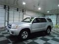 Titanium Metallic - 4Runner SR5 Photo No. 4
