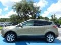 Ginger Ale 2014 Ford Escape Titanium 1.6L EcoBoost Exterior