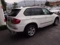 Alpine White - X5 xDrive35d Photo No. 10