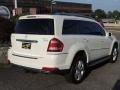 Arctic White - GL 450 4Matic Photo No. 4
